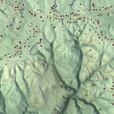 Close-up of the map of Pea Ridge, Alabama print showing street and building detail