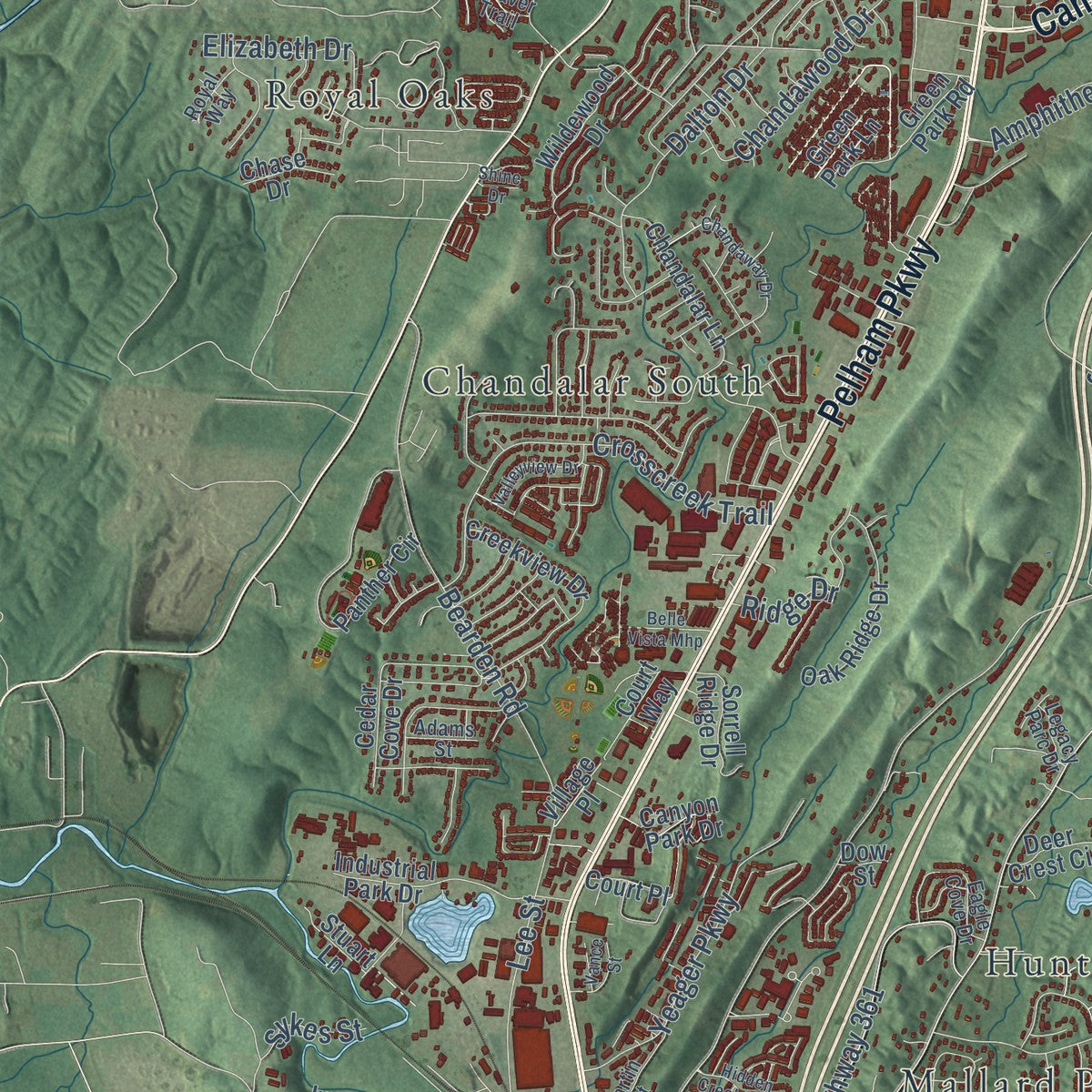 Close-up of the map of Pelham, Alabama print showing street and building detail