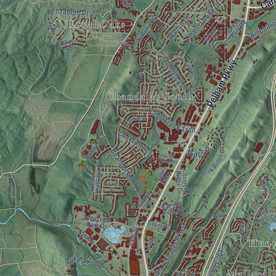 Close-up of the map of Pelham, Alabama print showing street and building detail