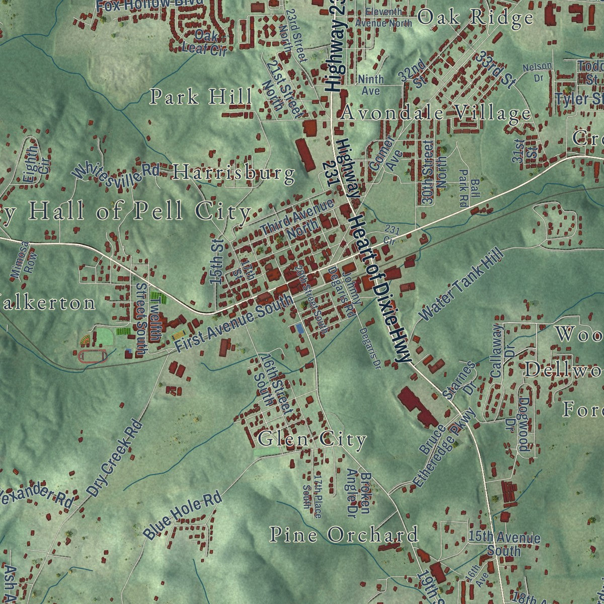 Close-up of the map of Pell City, Alabama print showing street and building detail