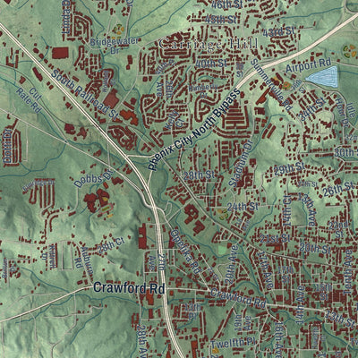 Close-up of the map of Phenix City, Alabama print showing street and building detail