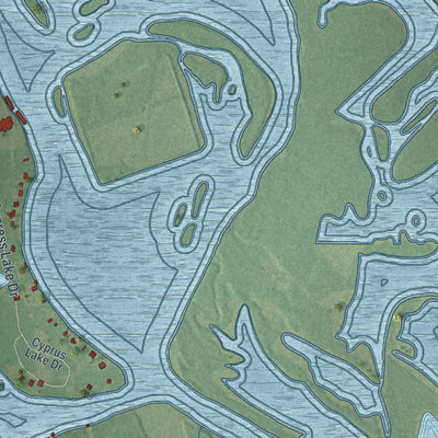 Close-up of the map of Pickensville, Alabama print showing street and building detail
