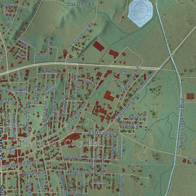 Close-up of the map of Piedmont, Alabama print showing street and building detail