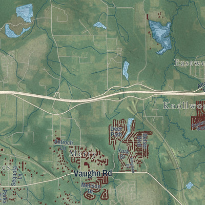 Close-up of the map of Pike Road, Alabama print showing street and building detail