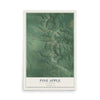 Map of Pine Apple, Alabama, 12 x 18 inch unframed archival matte print