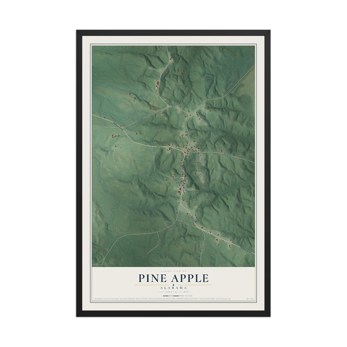 Map of Pine Apple, Alabama, 12 x 18 inch print in a black wood frame