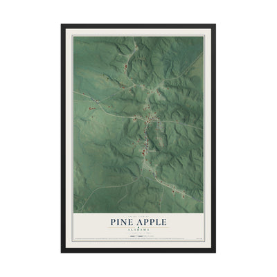 Map of Pine Apple, Alabama, 12 x 18 inch print in a black wood frame