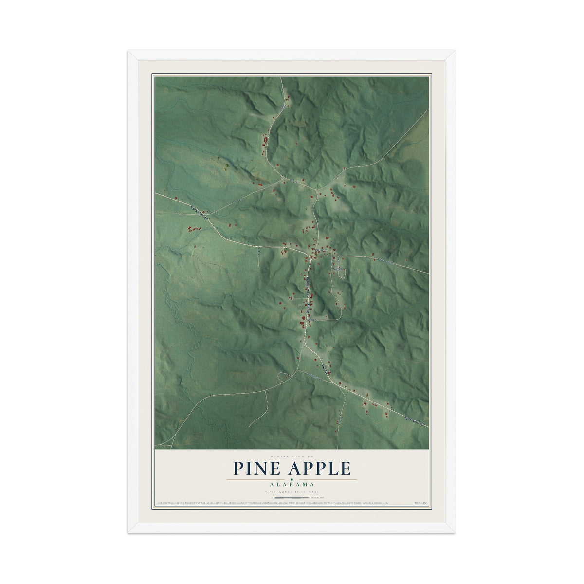 Map of Pine Apple, Alabama, 12 x 18 inch print in a white wood frame
