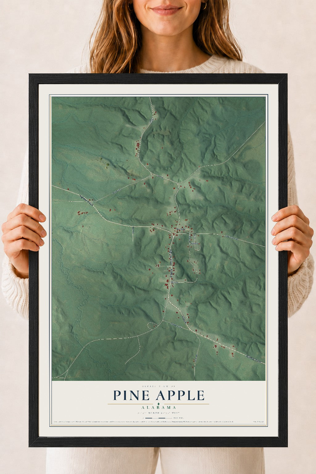 Map of Pine Apple, Alabama, 18 x 24 inch print in a black wood frame