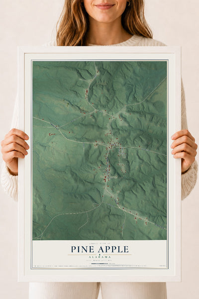 Map of Pine Apple, Alabama, 18 x 24 inch print in a white wood frame