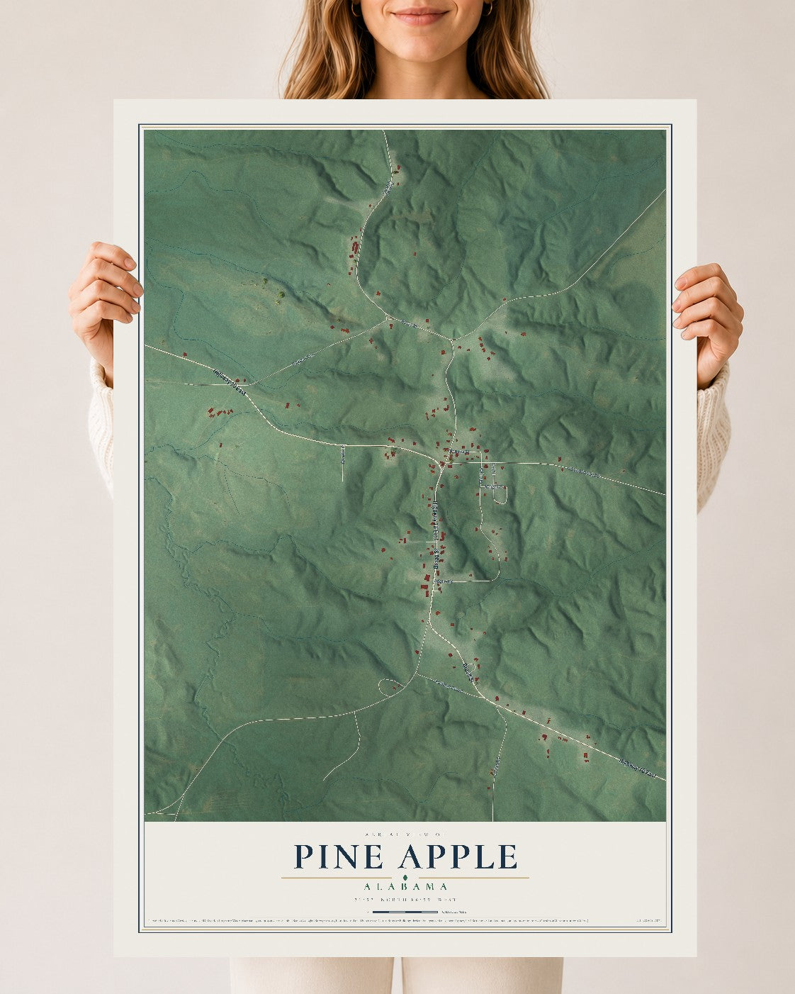 Map of Pine Apple, Alabama, 24 x 36 inch unframed archival matte print