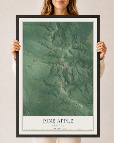 Map of Pine Apple, Alabama, 24 x 36 inch print in a black wood frame