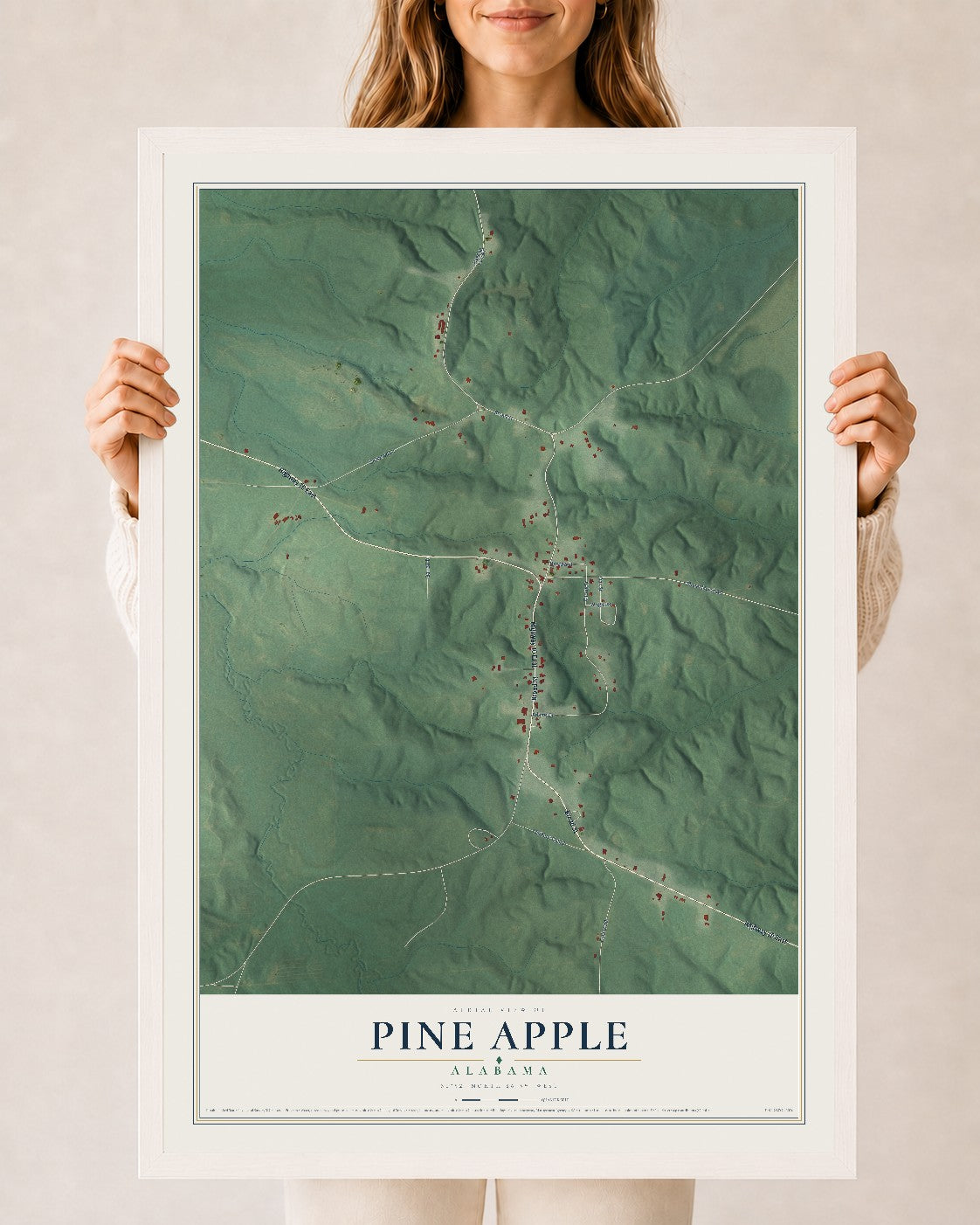 Map of Pine Apple, Alabama, 24 x 36 inch print in a white wood frame