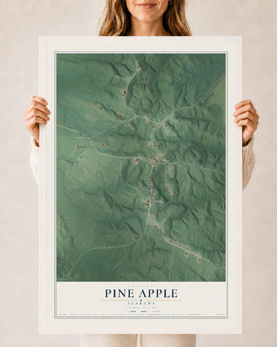 Map of Pine Apple, Alabama, 24 x 36 inch print in a white wood frame