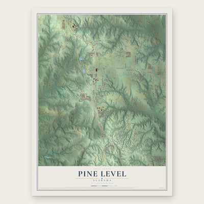 Pine Level, Alabama map print, the full design
