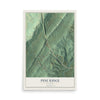 Map of Pine Ridge, Alabama, 12 x 18 inch unframed archival matte print