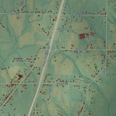 Close-up of the map of Piney Chapel, Alabama print showing street and building detail