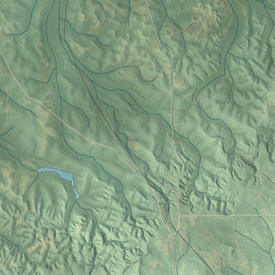 Close-up of the map of Pintlala, Alabama print showing street and building detail