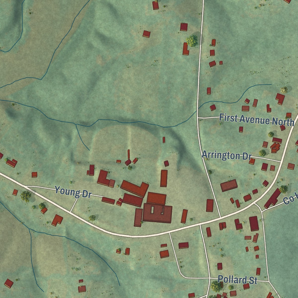 Close-up of the map of Ranburne, Alabama print showing street and building detail