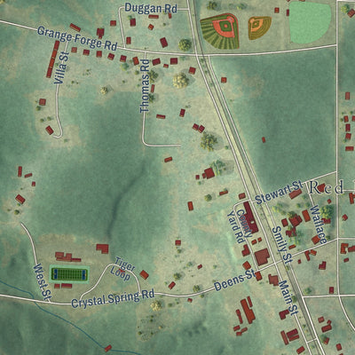 Close-up of the map of Red Level, Alabama print showing street and building detail
