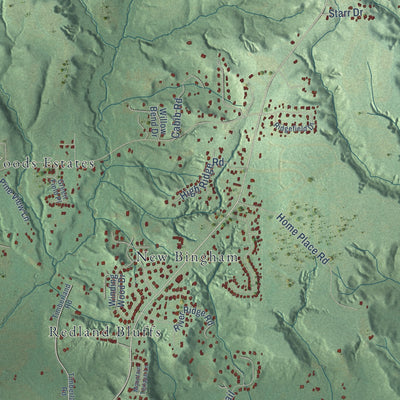 Second close-up of the map of Redland, Alabama print showing more streets and buildings