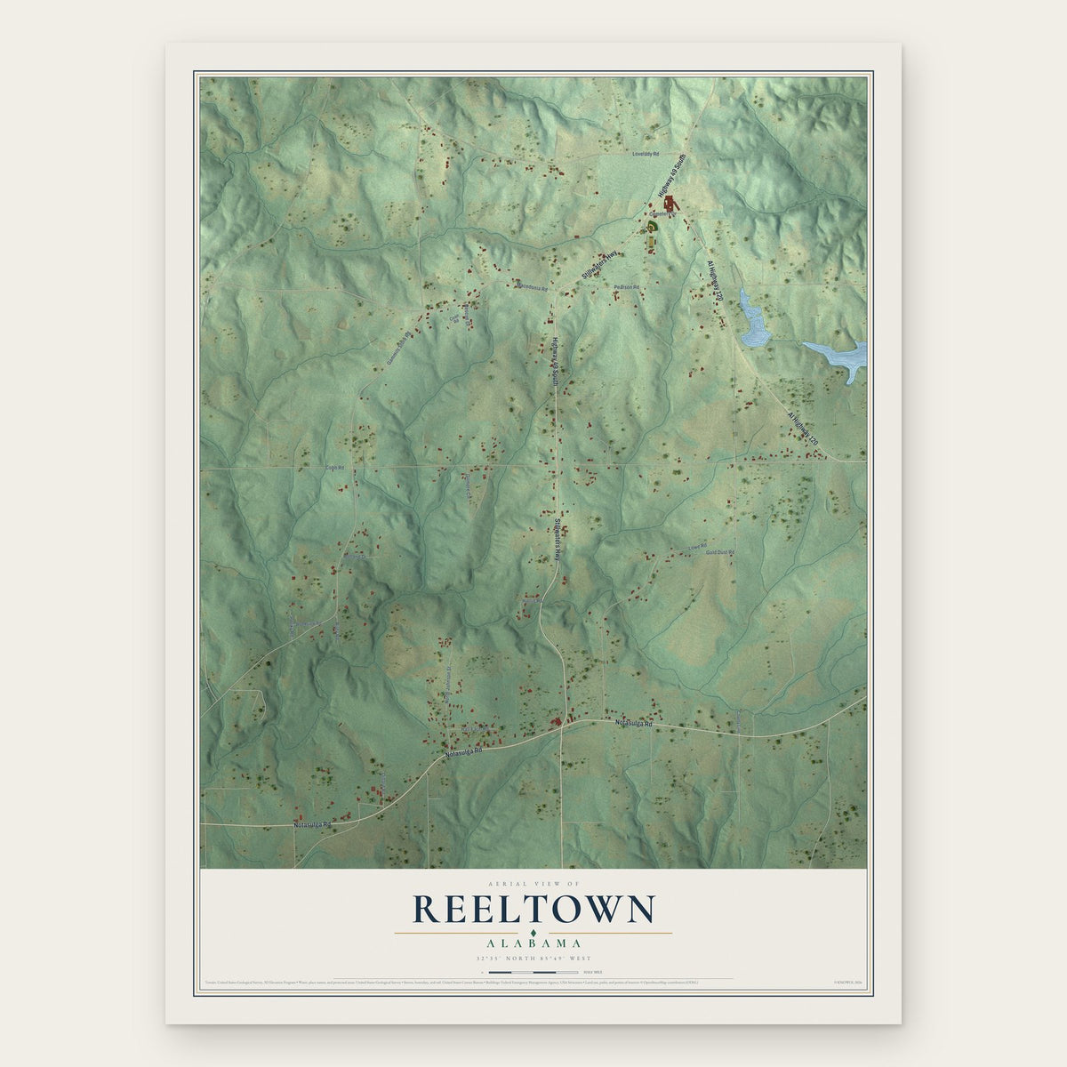 Reeltown, Alabama map print, the full design