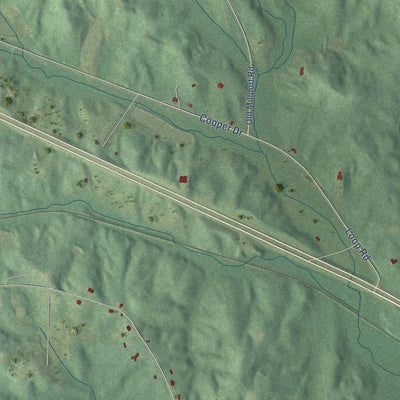 Second close-up of the map of Reform, Alabama print showing more streets and buildings