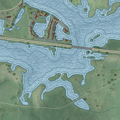 Close-up of the map of Riverside, Alabama print showing street and building detail
