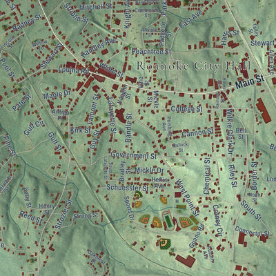 Close-up of the map of Roanoke, Alabama print showing street and building detail