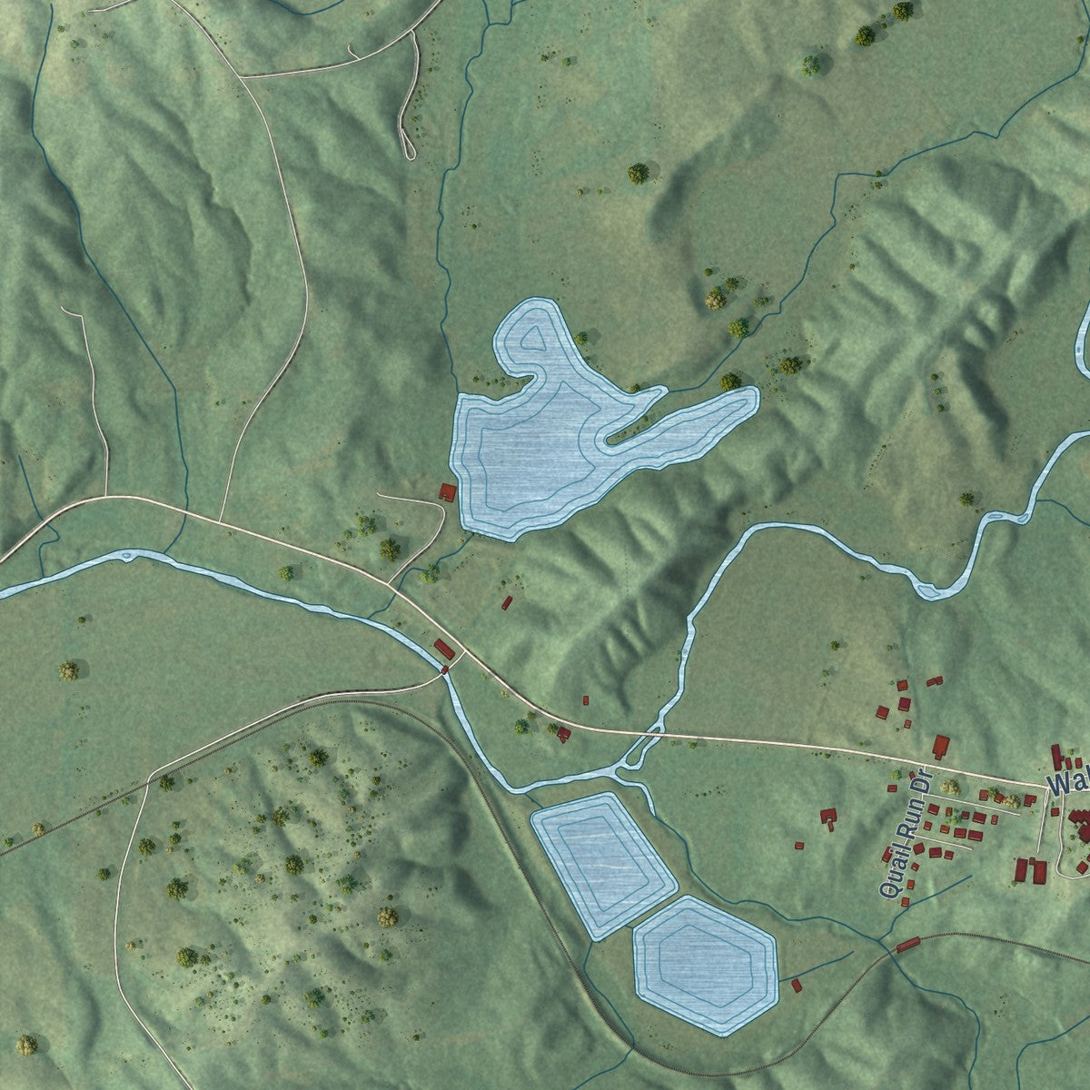 Second close-up of the map of Roanoke, Alabama print showing more streets and buildings