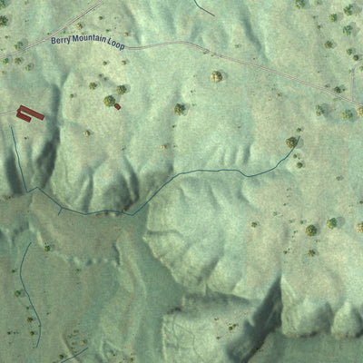 Close-up of the map of Rosa, Alabama print showing street and building detail