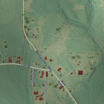 Second close-up of the map of Rutledge, Alabama print showing more streets and buildings