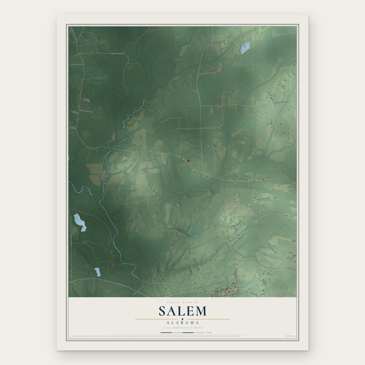 Salem, Alabama map print, the full design