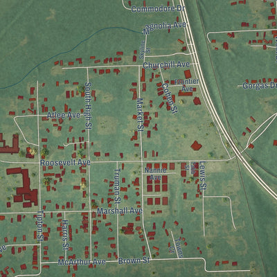 Close-up of the map of Selmont-West Selmont, Alabama print showing street and building detail