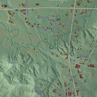 Close-up of the map of Silas, Alabama print showing street and building detail