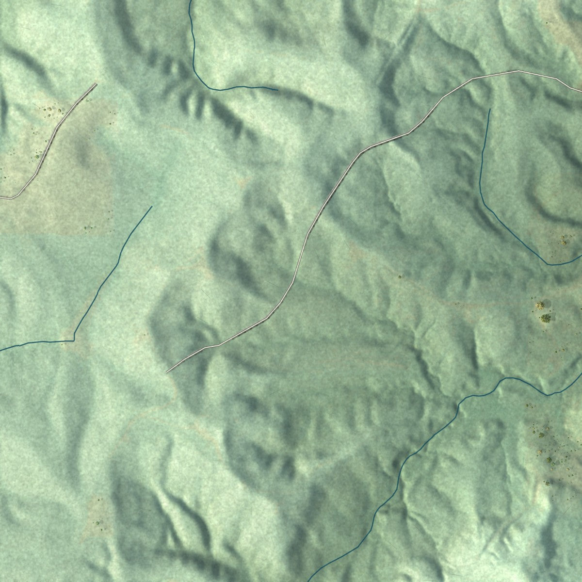 Second close-up of the map of Silas, Alabama print showing more streets and buildings