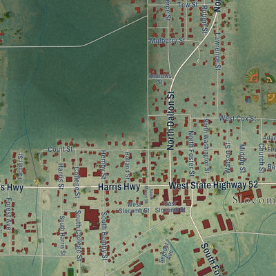 Close-up of the map of Slocomb, Alabama print showing street and building detail