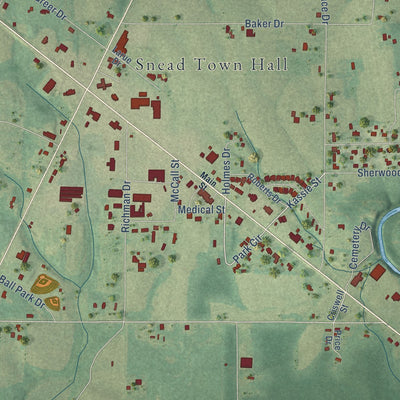 Close-up of the map of Snead, Alabama print showing street and building detail