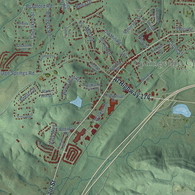 Close-up of the map of Springville, Alabama print showing street and building detail