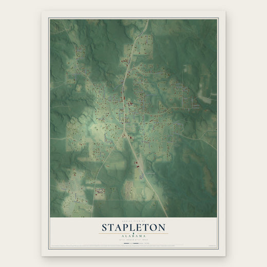 Stapleton, Alabama map print, the full design