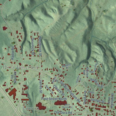 Second close-up of the map of Sumiton, Alabama print showing more streets and buildings