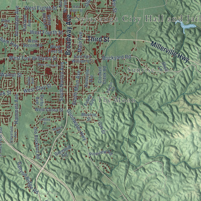 Close-up of the map of Sylacauga, Alabama print showing street and building detail
