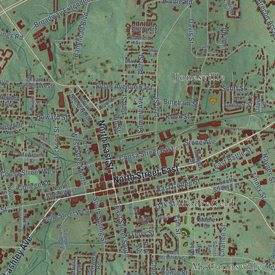 Close-up of the map of Talladega, Alabama print showing street and building detail