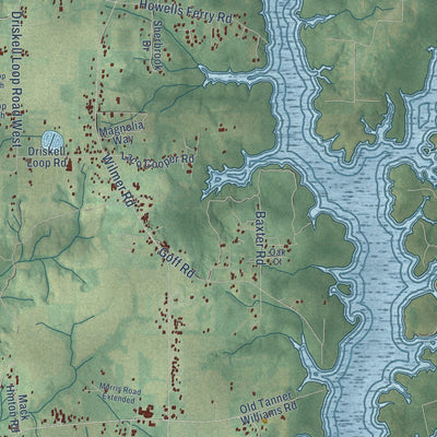 Close-up of the map of Tanner Williams, Alabama print showing street and building detail