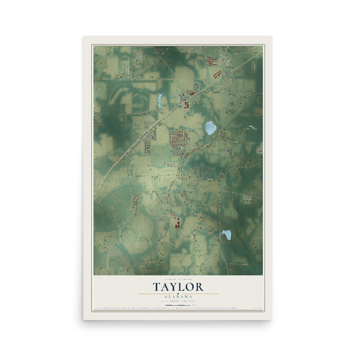 Map of Taylor, Alabama, 12 x 18 inch unframed archival matte print