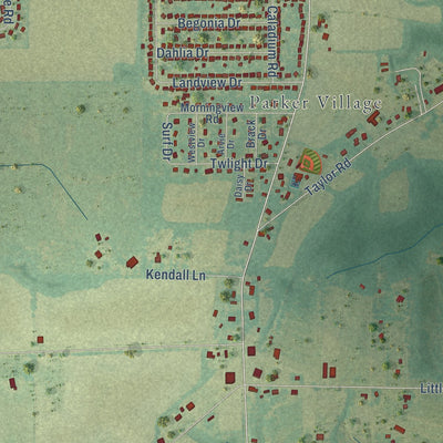Close-up of the map of Taylor, Alabama print showing street and building detail