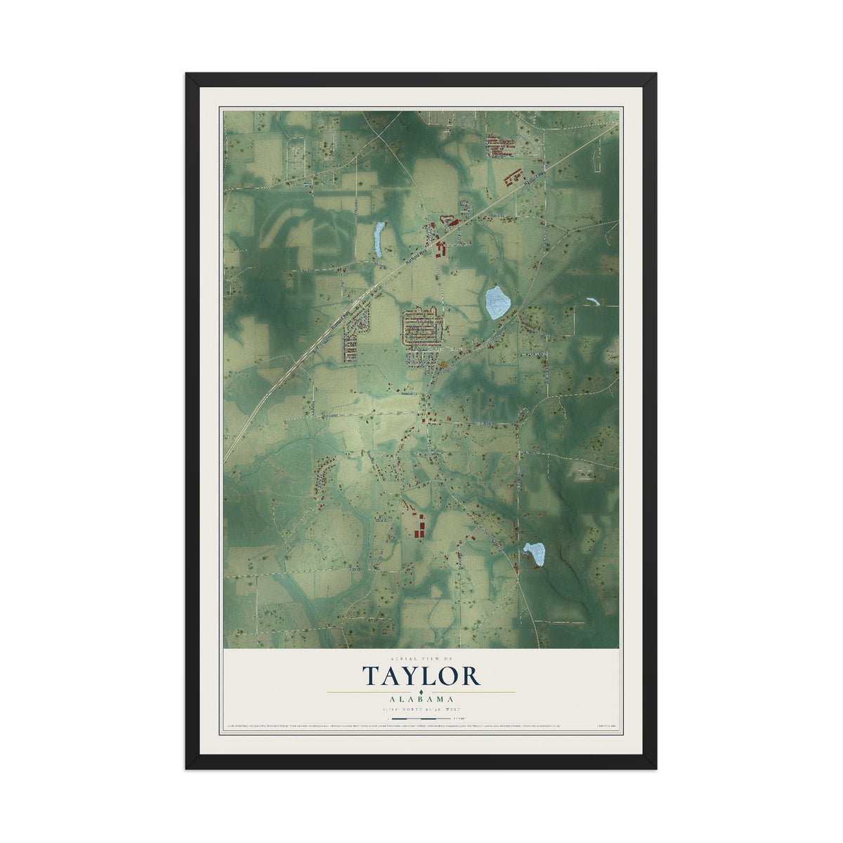 Map of Taylor, Alabama, 12 x 18 inch print in a black wood frame