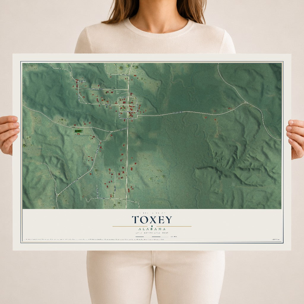 Map of Toxey, Alabama, 18 x 24 inch unframed archival matte print