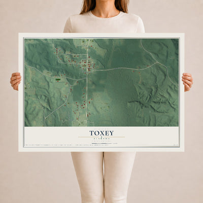 Map of Toxey, Alabama, 24 x 36 inch unframed archival matte print
