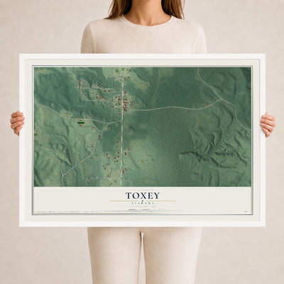 Map of Toxey, Alabama, 24 x 36 inch print in a white wood frame